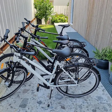 Delta House - Alfa Apartament