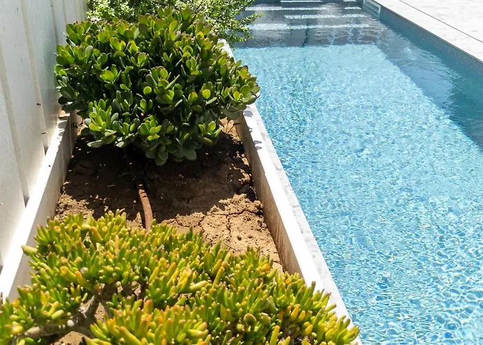 Delta House - Alfa *